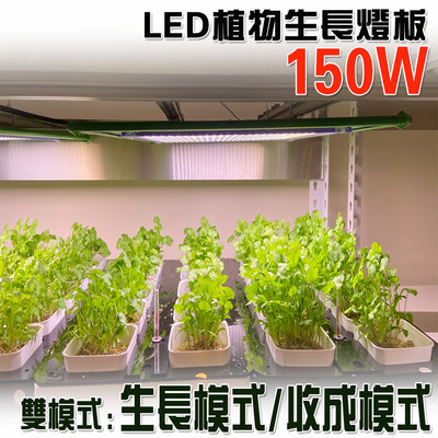君沛 燈板系列 150瓦 吊掛式 植物燈 雙色溫 植物成長專用燈 植物生長燈