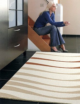【范登伯格】維克明快的現代進口大尺寸長毛地毯.最後4條.促銷價8890元含運-200x290cm