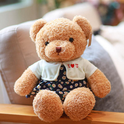 【現貨】泰迪熊公仔毛絨玩具熊抱抱熊大號布娃娃小熊貓抱枕生日情人節禮物