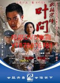 DVD 2013年 武林宗師葉問 大陸劇