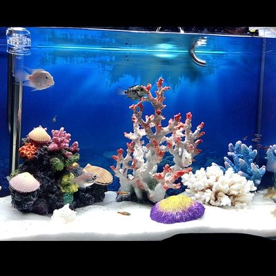 魚缸裝飾造景珊瑚假山水景仿真假珊瑚石水族海景裝飾擺件套餐