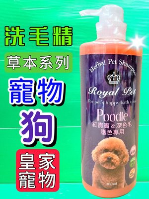 ✪CHOCO✪皇家寵物➤紅貴賓&深色毛專用 洗毛精 500ml/瓶➤沐浴乳 草本溫和 低敏感 Royal Pet 犬 狗