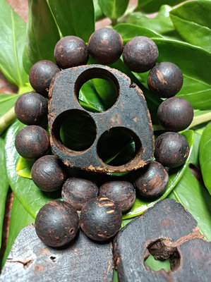 緬甸降真香手串1.8(13顆珠+2顆)原降真香藤木取珠保留原取珠藤木片塊