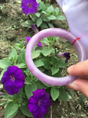 A+天然紫羅蘭 翡翠玉鐲～窄版～《瑞紫4款》～手圍19號（舒服），手圍19.5號（合手），內徑60mm寬15厚7mm，紫翡翠玉鐲！紫羅蘭玉手環～｛熊寶貝珠寶｝～