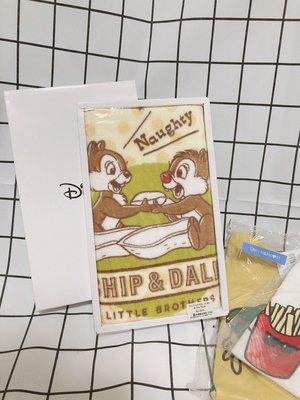 《The Hans》日本 Disney 迪士尼毛巾 奇奇蒂蒂毛巾禮盒 現貨
