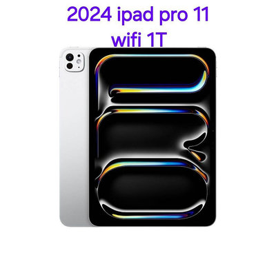 WiFi版 2024 Apple iPad Pro 11吋 1T