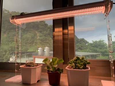植物燈 加強型 全光譜 植物燈管3呎 三防燈 防水植物燈 植物燈管 多肉植物燈管 防水植物燈管
