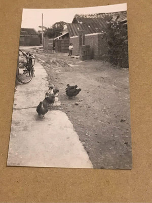 （消失的國界）1960年代，台灣早期住家景觀，單層瓦房、竹籬笆、泥土路、古董腳踏車（有照明燈）、屋外放養雞鴨、電線桿。