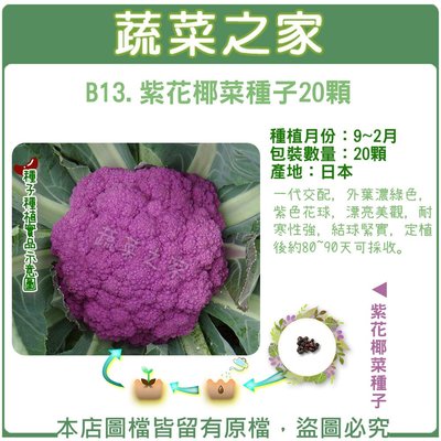 紫花椰菜的價格推薦 22年1月 比價比個夠biggo