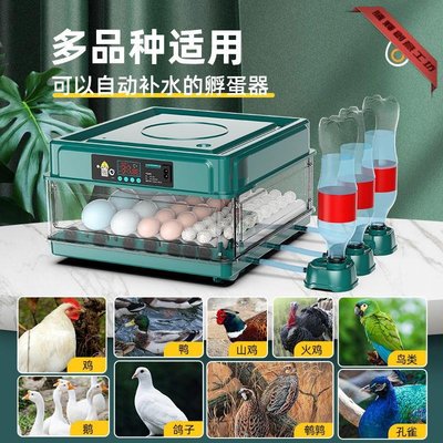 【廠家直銷】孵化機全自動家用小型孵蛋器水床孵化器蘆丁雞孵化箱-騰輝創意