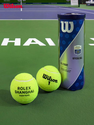 Wilson威爾勝官方上海大師賽專用比賽級多場地網球3顆/24筒整箱裝