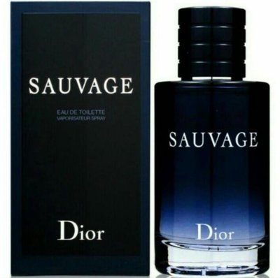 Dior 迪奧 曠野之心男性淡香水 100ml/1瓶