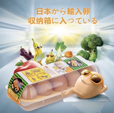廚房收納盒 廚房用蛋收集盒 10入雞蛋收納 SANADA 日本冰箱