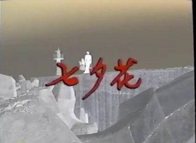 1995中視七夕花dvd～林煒 張玉嬿 席曼寧 張晨光主演