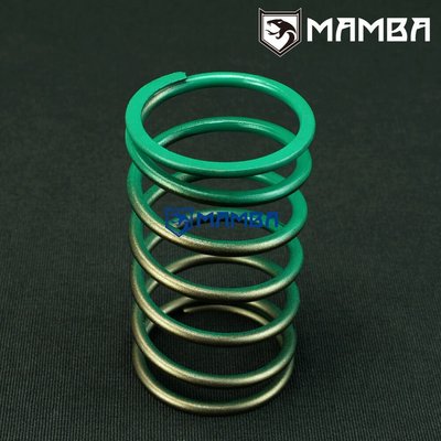 TiAL 35mm F35 External Wastegate Spring Small Green
