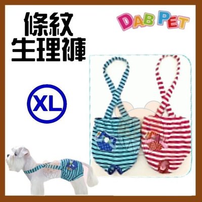 【幸福寶貝寵物Go】台灣製 DAB PET《XL，藍色》條紋-生理褲~彈性棉質.俏皮可愛