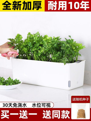 溜溜陽臺種菜盆家庭蔬菜種植專用箱長方形自吸水室內草莓盆栽懶人花盆