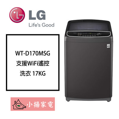 【小揚家電】LG 直立洗衣機 WT-D170MSG另售 WT-D159MG WT-SD159HVG 【詢問享優惠】