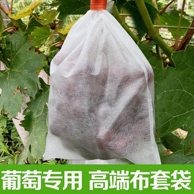 溜溜葡萄專用套袋防鳥罩防果蠅無紡布枇杷蔬菜瓜果水果防水防雨保護袋