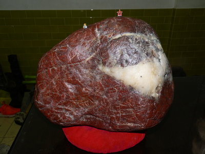 花蓮 海洗台灣雞血石(赤白石)...13公斤