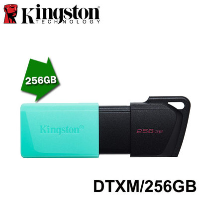 【MR3C】含稅 KINGSTON DataTraveler Exodia M 256GB DTXM USB隨身碟