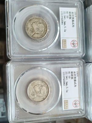兩枚au50分三年袁像大頭貳角福建版，公博盒子幣，真，103