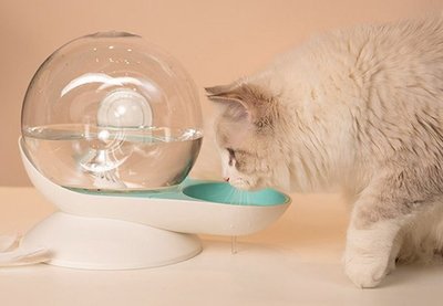 貓咪狗狗喝水器 寵物自動飲水機 蝸牛飲水器 自動飲水機 餵水神器 水碗 水盆 自動續水 不插電