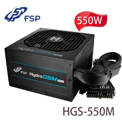 【MR3C】含稅附發票 FSP全漢 550W HGS-550M 80PLUS金牌 半模組化 電源供應器