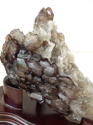 ~shirley 水晶~優質巴西金髮鱷魚骨幹~0.7公斤~完整生長~能量強大~低價起標!