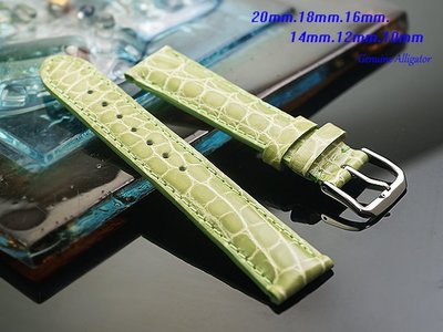 【時間探索】進口純正鱷魚皮高級錶帶蘋果綠 ( .20mm.18mm.16mm.12mm)