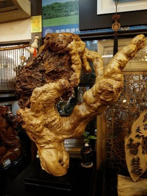 （台南寶麗古典傢俱藝品館）台灣千年檜木鳳尾極品Q絲瘤～大自然的天然渾然佳作～長73寬46高98公分～重約36公斤