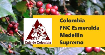 生豆✨5KG｜哥倫比亞 FNC 綠翡翠 美德林產區 Supremo｜咖啡生豆 COFFEE BEAN