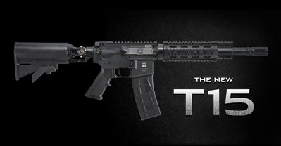 ( 昇巨模型 ) - TIBERIUS - T15 步槍版 - 鎮暴槍 + 備用彈匣 + 高壓氣瓶 !