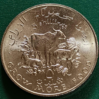 【二手】 索馬里 1970年 FAO世界糧農組織 5先令紀念幣 品相如289 錢幣 硬幣 紀念幣【明月軒】