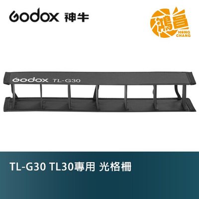 【鴻昌】Godox TL-G30 TL30專用 光格柵 網格 TLG30
