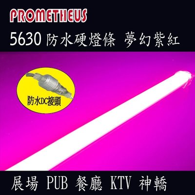 LED 5630防水硬燈條 36株 (50cm) 12V 夢幻紫紅光  KTV  酒吧 餐廳 氣氛燈