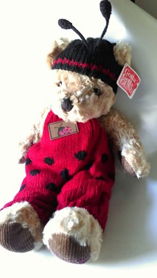 泰迪熊  熊熊娃娃 生日禮物 情人節 母親節 泰迪熊 車頭彩 出清特賣 蜜蜂熊 毛衣小熊
