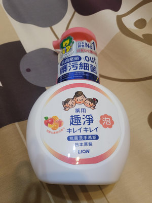 日本原裝進口 獅王 趣淨 抗菌洗手慕斯250ml