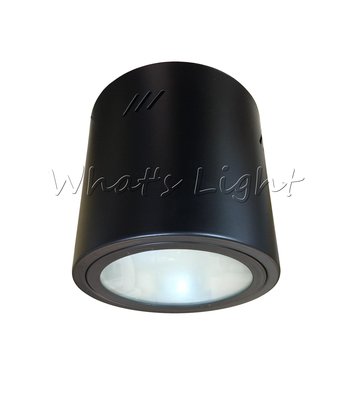 划得來LED燈飾~簡約時尚 現代工業風 E27*1 黑色圓筒燈 / 直插加玻筒燈 吸頂投射燈 F-65-861-2