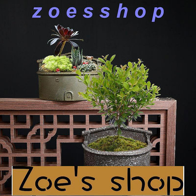 zoe-花器 種植盆 墻上壁掛花盆陶瓷歐式創意陽臺垂吊盆綠蘿懸掛式植物個性花盆