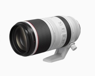 【華揚數位】☆全新 Canon RF 100-500mm F4.5-7.1 L IS USM 望遠鏡頭 平輸貨