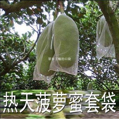 菠蘿蜜套袋木菠蘿套袋防蟲袋防寒袋包郵水果袋香蕉分體-眾客丁噹的口袋