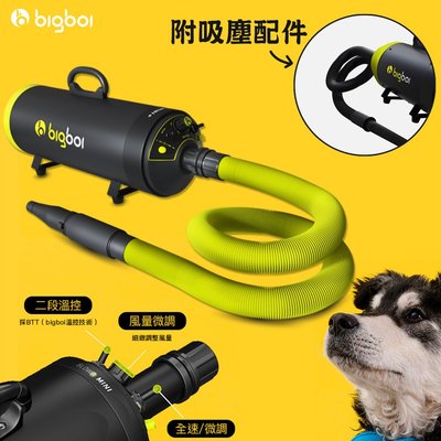 【2合1】bigboi MINI PLUS+ (含吸塵配件) 吹水機 乾燥吹風 寵物美容 寵物用品 寵物吹水機