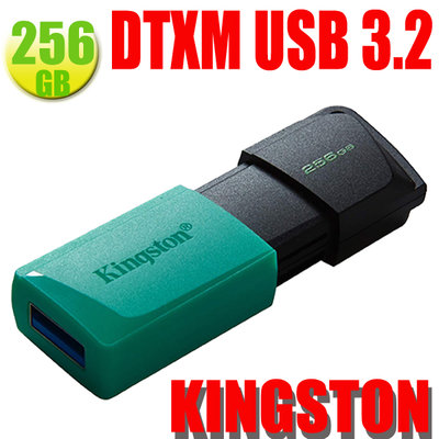 Kingston 256G 256G DTXM DataTraveler Exodia M USB 3.2 金士頓隨身碟