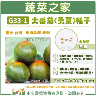 【蔬菜之家滿額免運】G33-1.大番茄(勇夏)種子5顆//生長勢強健，硬度佳耐裂果