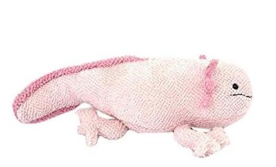 11652c 日本進口 好品質 限量品 可愛呆萌動物 粉色六角恐龍蠑螈娃娃魚睡枕絨毛絨娃娃玩偶擺件裝飾品禮品