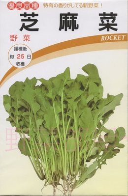 【野菜部屋~】E21 箭生菜種子0.8公克 , 芝麻菜 , 健康蔬菜 , 每包15元~