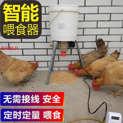餵食器自動喂雞食器鴿子鵝雞鴨自動喂食器食槽定時全自動喂雞自動投料機