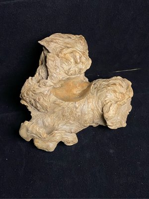 台灣紅檜鳳尾瘤榴倒格風化天雕形似瑞獅(特價)