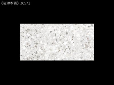 《磁磚本舖》新品促銷 水磨石 灰白色 36571 30*60cm 霧面 浴室 地壁可用 多模面 地壁可用